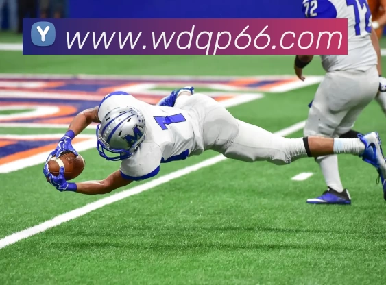 问鼎棋牌平台生态图