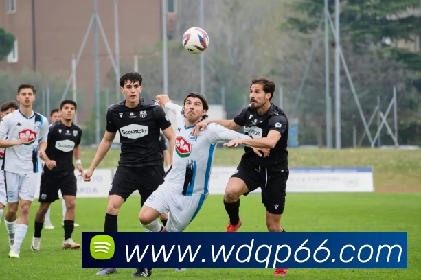 问鼎棋牌全站App